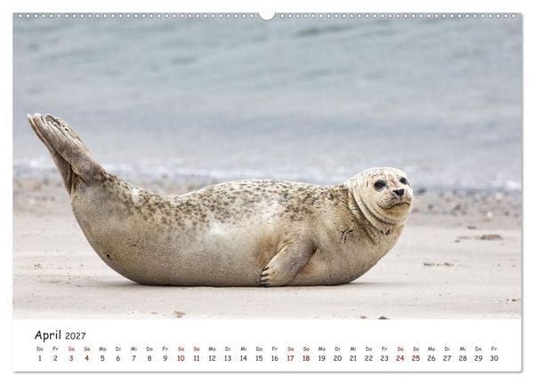 Produktbild: Sehnsuchtinsel Langeoog (hochwertiger Premium Wandkalender 2027 DIN A2 quer), Kunstdruck in Hochglanz