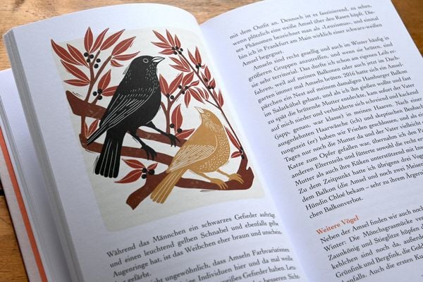 Produktbild: Schreibers Naturarium