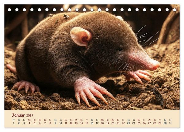 Produktbild: Im Reich der Tunnelbauer - Maulw&uuml;rfe und Nacktmulle, Leben im Verborgenen (Tischkalender 2027 DIN A5 quer), CALVENDO Monatskalender
