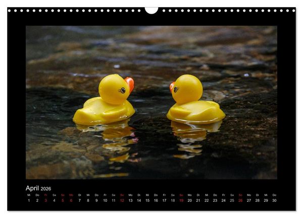 Produktbild: Enten-Rennen (Wandkalender 2026 DIN A3 quer), CALVENDO Monatskalender