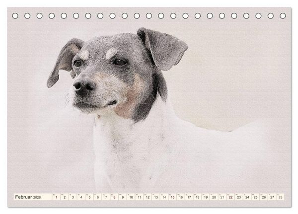 Produktbild: Bodeguero Andaluz 2026 (Tischkalender 2026 DIN A5 quer), CALVENDO Monatskalender