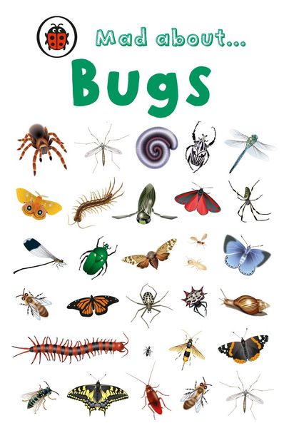 Produktbild: Mad About Bugs