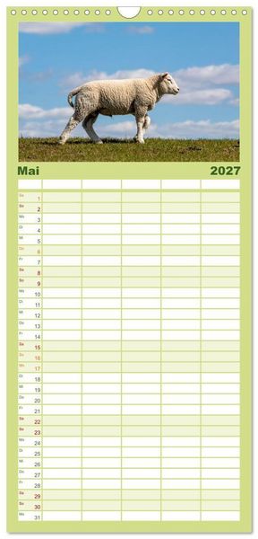 Produktbild: Familienplaner 2027 - Deichschafe - H&uuml;ter der Deiche in Nordfriesland mit 5 Spalten (Wandkalender, 21 x 45 cm) CALVENDO