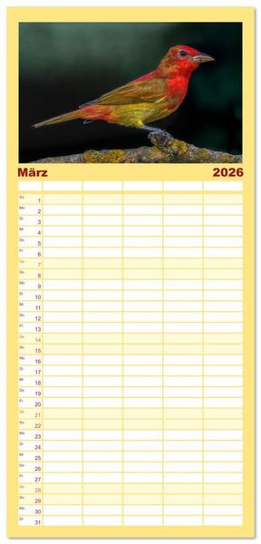 Produktbild: Familienplaner 2026 - Tropische V&ouml;gel Costa Ricas mit 5 Spalten (Wandkalender, 21 x 45 cm) CALVENDO