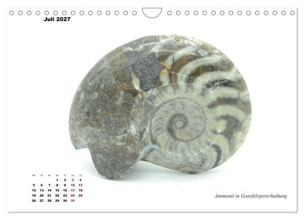 Produktbild: Fossilien - Ammoniten, Trilobiten, Erdgeschichte (Wandkalender 2027 DIN A4 quer), CALVENDO Monatskalender