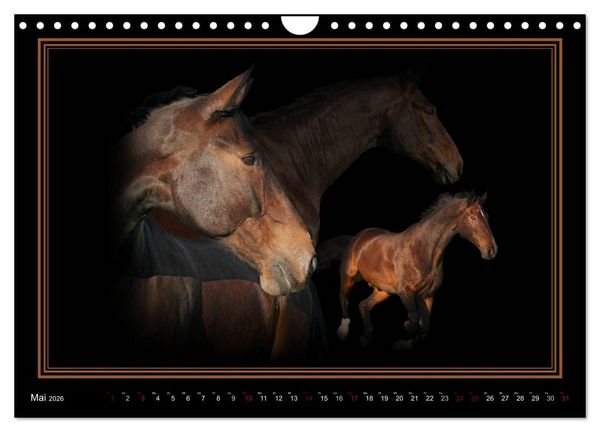 Produktbild: Traumpferde-ART-Collection (Wandkalender 2026 DIN A4 quer), CALVENDO Monatskalender