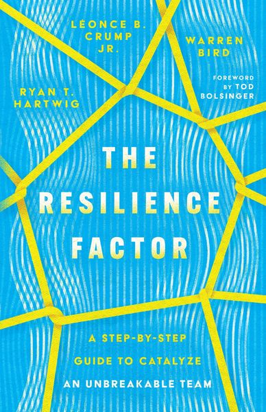 Produktbild: Resilience Factor