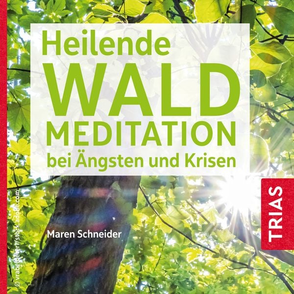 Produktbild: Heilende Waldmeditation bei &Auml;ngsten und Krisen