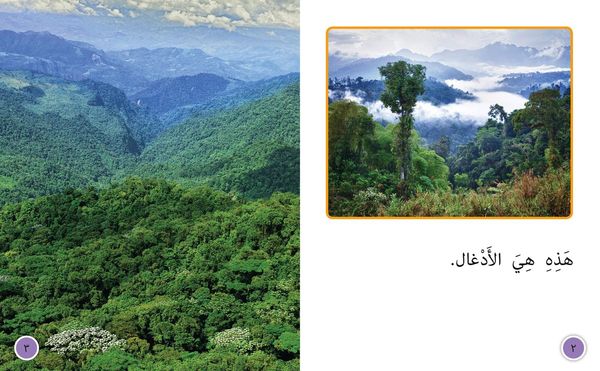 Produktbild: BIG CAT ARABIC - IN JUNG