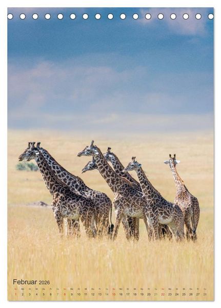 Produktbild: Emotionale Momente: Giraffen, die h&ouml;chsten Tiere der Welt. (Tischkalender 2026 DIN A5 hoch), CALVENDO Monatskalender