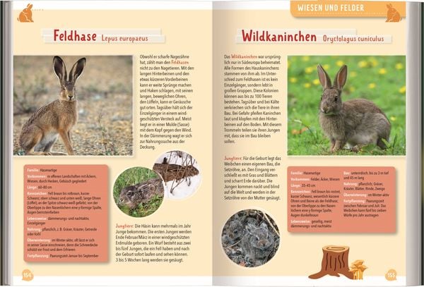 Mein großer Naturführer Tiere & Pflanzen