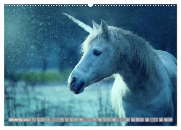 Produktbild: Fabeltier Einhorn (hochwertiger Premium Wandkalender 2026 DIN A2 quer), Kunstdruck in Hochglanz