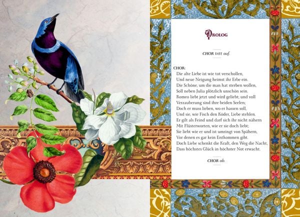 Produktbild: Romeo und Julia
