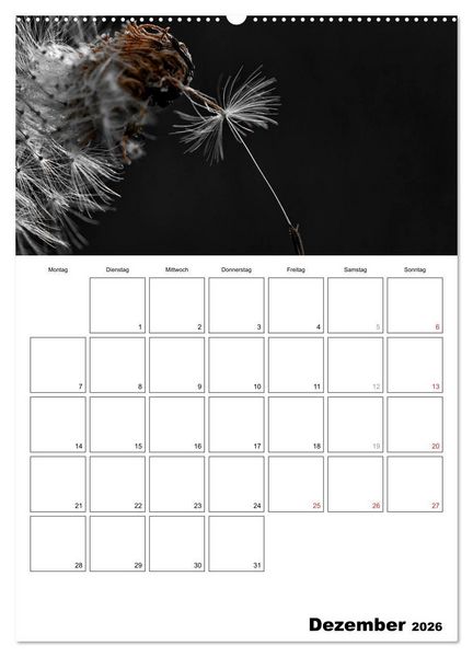 Produktbild: schwarz/wei&szlig; trifft farbe - DEIN TERMINKALENDER / Planer (Wandkalender 2026 DIN A2 hoch), CALVENDO Monatskalender