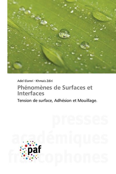 Produktbild: Ph&eacute;nom&egrave;nes de Surfaces et Interfaces