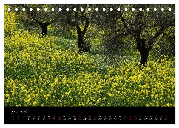 Produktbild: Licht der Toscana (Tischkalender 2026 DIN A5 quer), CALVENDO Monatskalender