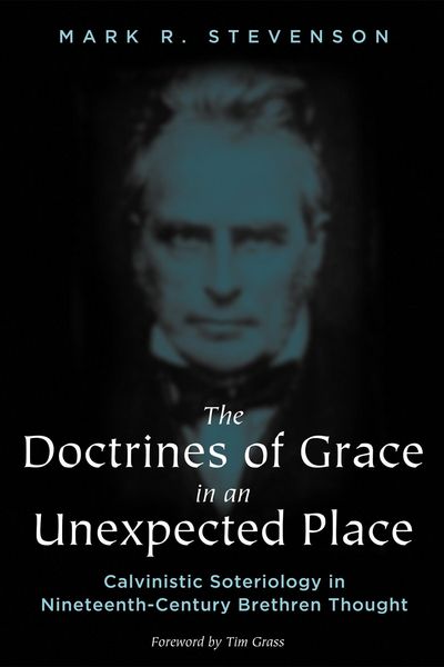 Produktbild: The Doctrines of Grace in an Unexpected Place