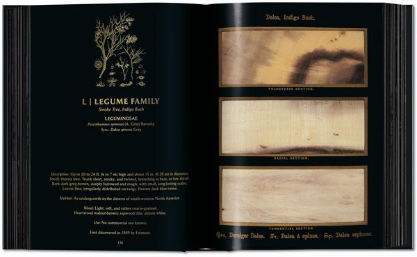 Produktbild: Romeyn B. Hough