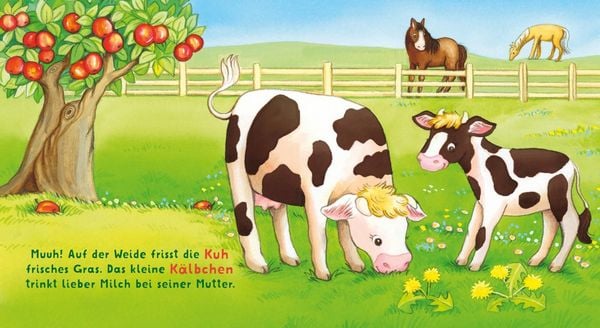 Produktbild: Baby Pixi (unkaputtbar) 167: Baby Pixi Stoff: Wir besuchen den Bauernhof