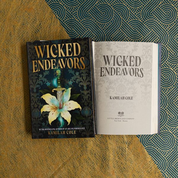 Produktbild: Wicked Endeavors
