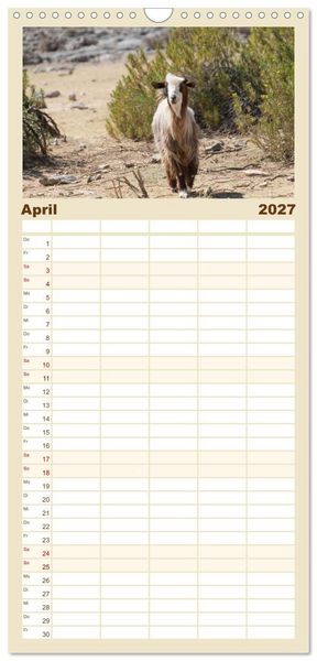 Produktbild: Familienplaner 2027 - Faszinierender Oman mit 5 Spalten (Wandkalender, 21 x 45 cm) CALVENDO