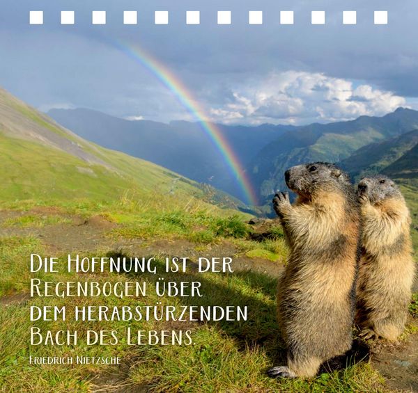 Produktbild: Jeder Tag ist voller kleiner Wunder