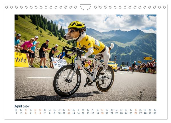 Produktbild: Jack Russel Active (Wandkalender 2026 DIN A4 quer), CALVENDO Monatskalender