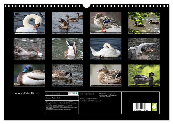 Produktbild: Lovely Water Birds (Wall Calendar 2026 DIN A3 landscape), CALVENDO 12 Month Wall Calendar