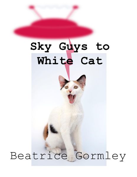 Produktbild: Sky Guys to White Cat