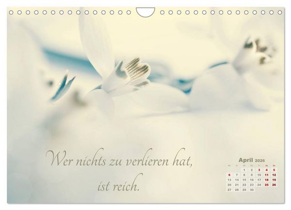 Produktbild: Chinesische Weisheiten (Wandkalender 2026 DIN A4 quer), CALVENDO Monatskalender