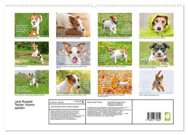Produktbild: Jack Russell Terrier: Komm spielen (hochwertiger Premium Wandkalender 2026 DIN A2 quer), Kunstdruck in Hochglanz