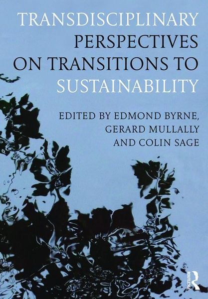 Produktbild: Transdisciplinary Perspectives on Transitions to Sustainability
