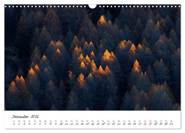 Produktbild: Im Atem der B&auml;ume (Wandkalender 2026 DIN A3 quer), CALVENDO Monatskalender