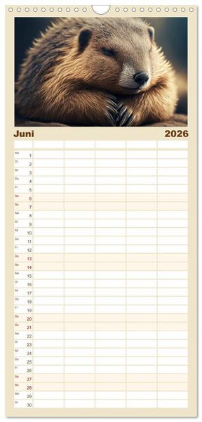 Produktbild: Familienplaner 2026 - Traumhafte Ruhe - Ein Jahr mit s&uuml;&szlig;en Schlafm&uuml;tzen mit 5 Spalten (Wandkalender, 21 x 45 cm) CALVENDO