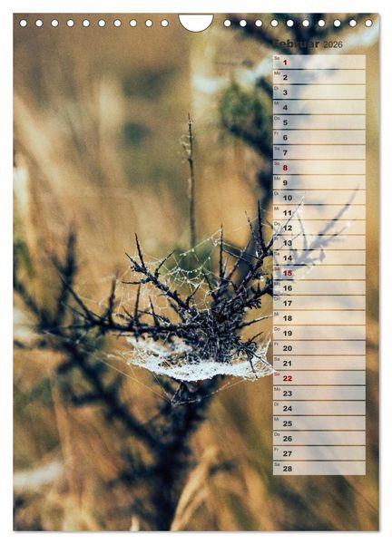 Produktbild: Kalender - Natur im Detail (Wandkalender 2026 DIN A4 hoch), CALVENDO Monatskalender