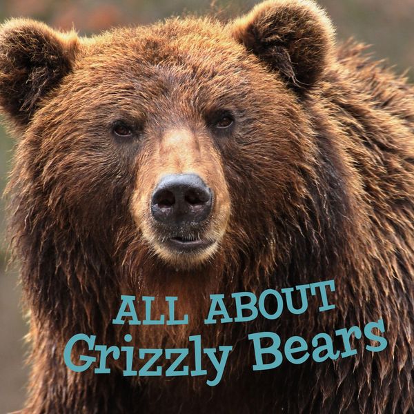 Produktbild: All about Grizzly Bears
