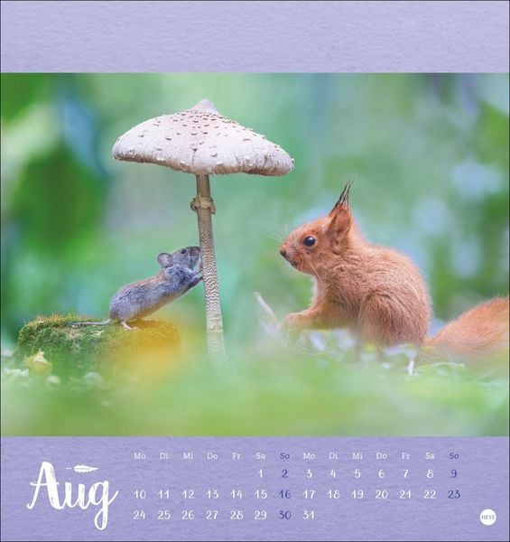 Produktbild: Vadim Trunov: Märchenhaftes Waldleben Postkartenkalender 2026