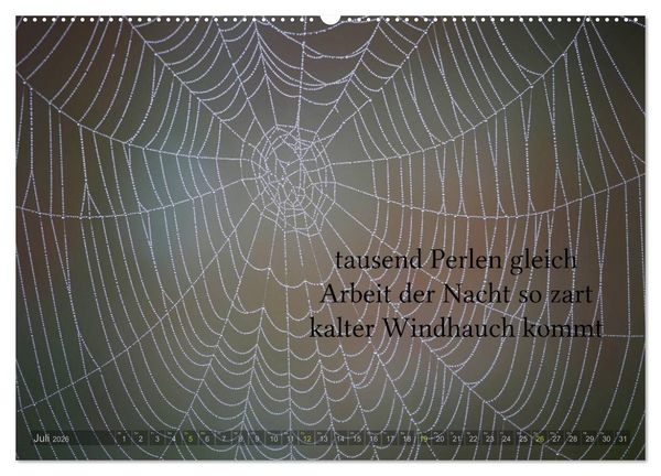 Produktbild: Haiku - Gedichte in 17 Silben (Wandkalender 2026 DIN A2 quer), CALVENDO Monatskalender