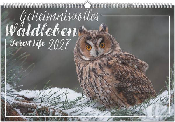 Produktbild: Geheimnisvolles Waldleben 2027