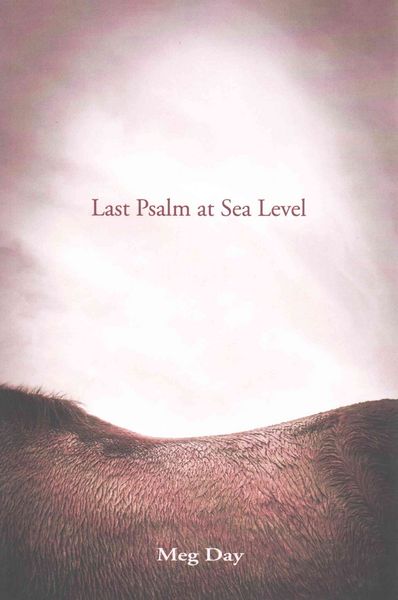 Produktbild: Last Psalm At Sea Level