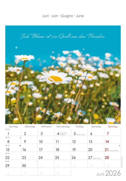 Auszeit für die Seele 2026 - Bildkalender 23,7x34 cm - Kalender mit Platz für Notizen - mit vielen Zusatzinformationen - Wandkalender - Alpha Edition