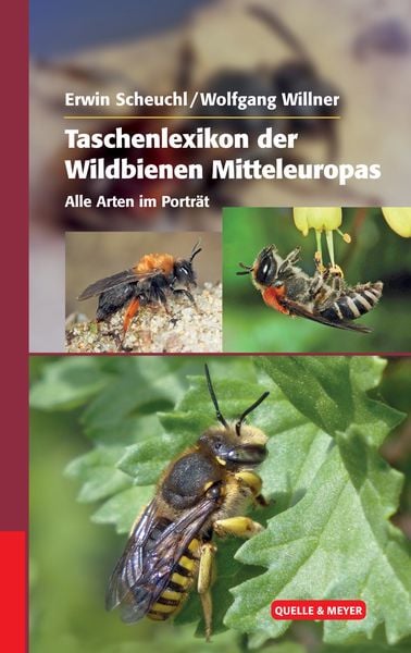 Produktbild: Taschenlexikon der Wildbienen Mitteleuropas