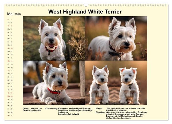 Produktbild: Terrier-Rassen im Portrait (hochwertiger Premium Wandkalender 2026 DIN A2 quer), Kunstdruck in Hochglanz
