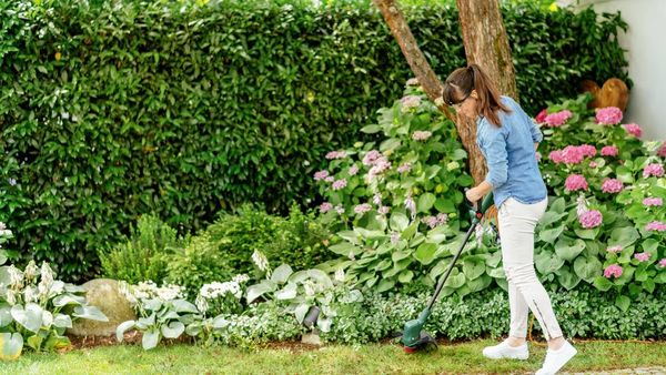 Produktbild: Bosch Home and Garden EasyGrassCut 18V-230 Akku Rasentrimmer inkl. Akku, inkl. Ladeger&auml;t 18 V 2 Ah Schnittbreite (max.): 23 cm