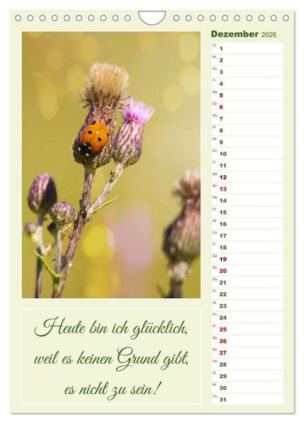 Produktbild: Marienk&auml;fer, Gl&uuml;cksbringer mit sieben Punkten (Wandkalender 2026 DIN A4 hoch), CALVENDO Monatskalender