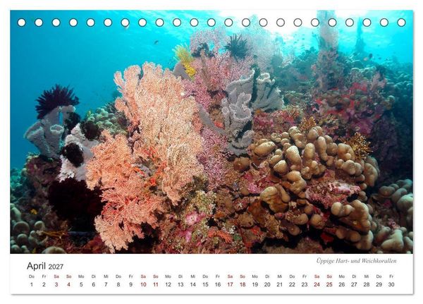 Produktbild: Unterwasser - eine bunte Welt (Tischkalender 2027 DIN A5 quer), CALVENDO Monatskalender