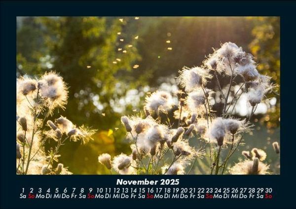 Produktbild: Bilder aus der Natur 2025 Fotokalender DIN A5