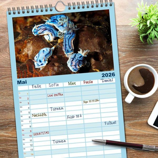 Produktbild: Familienplaner 2026 - Meeres-Schnecken mit 5 Spalten (Wandkalender, 21 x 45 cm) CALVENDO