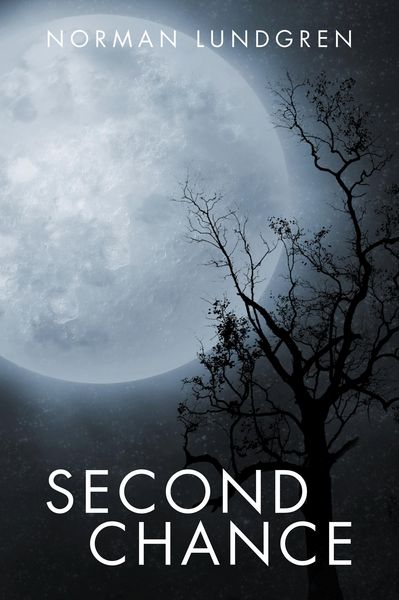 Produktbild: Second Chance