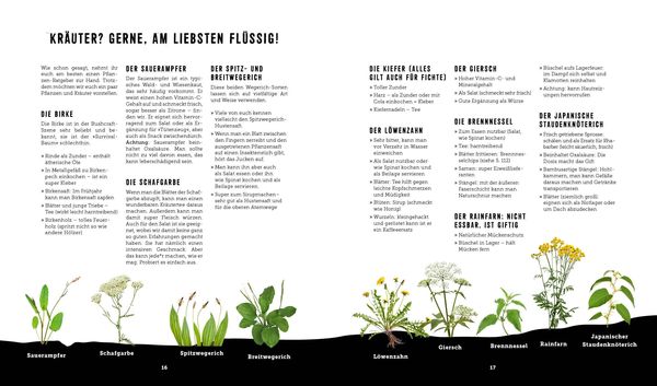 Produktbild: Outdoor Kochen &ndash; Ohne Strom und ohne Schnickschnack mit den Naturens&ouml;hnen